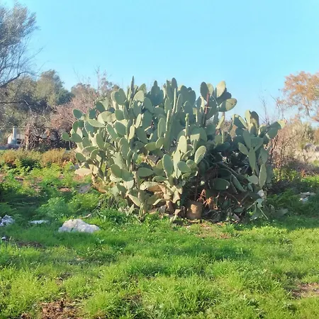 Casa Sulla Montagna * Loútsai